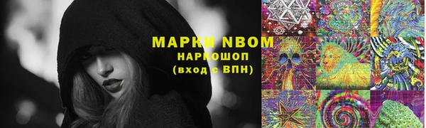 гидра Алексин