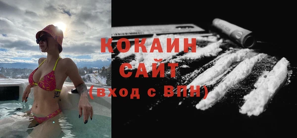 прущий лед Алзамай