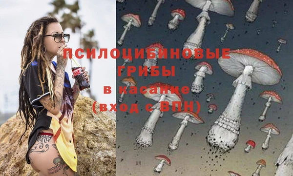 прущий лед Алзамай