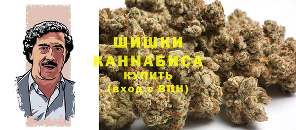гидра Алексин