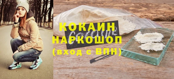 прущий лед Алзамай