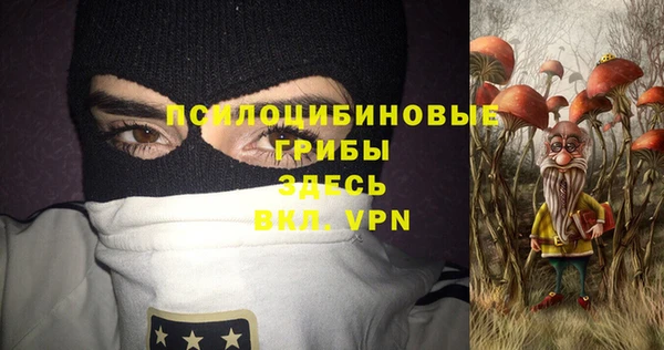 прущий лед Алзамай