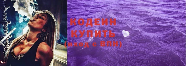 прущий лед Алзамай