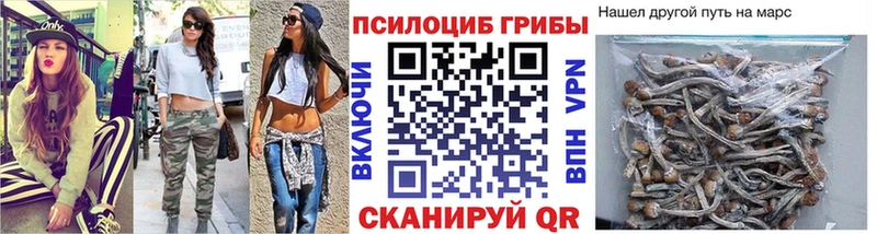 Галлюциногенные грибы Cubensis  Бавлы 